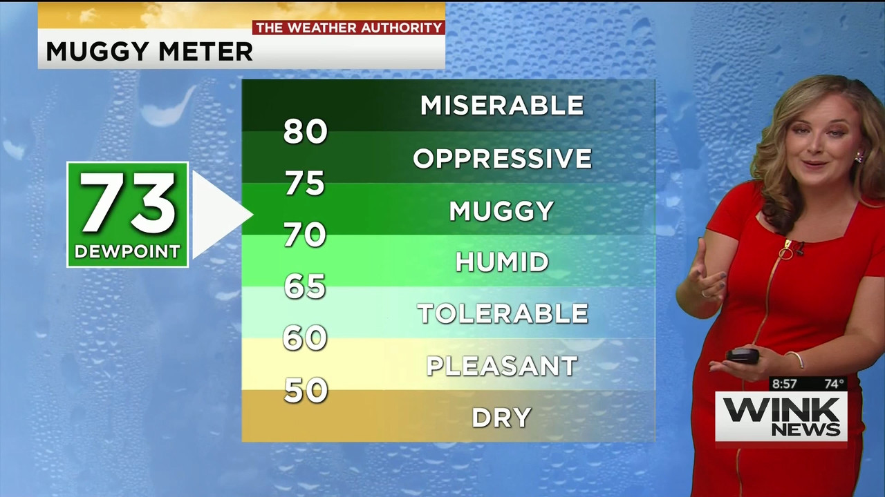 23 May - 14.00.00 - WINK News @ 9 00AM..ts_snapshot_00.01.49_[2020.05.23_17.10.32]