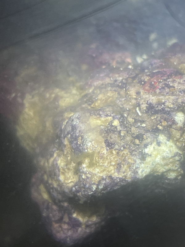 63CAAEBB-56EF-4939-87DE-EC6522937AB6