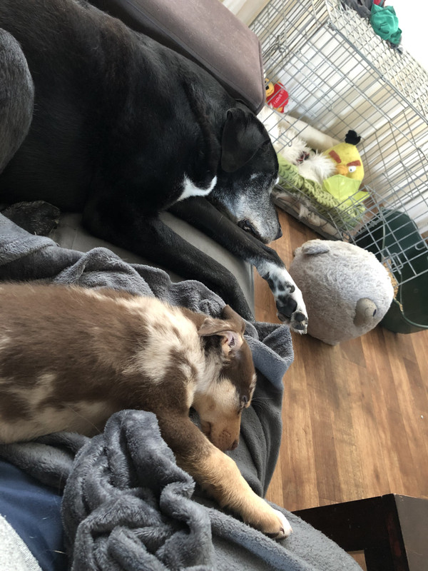 62CFAAB6-F7F9-47FE-9639-FFBC93179C0B