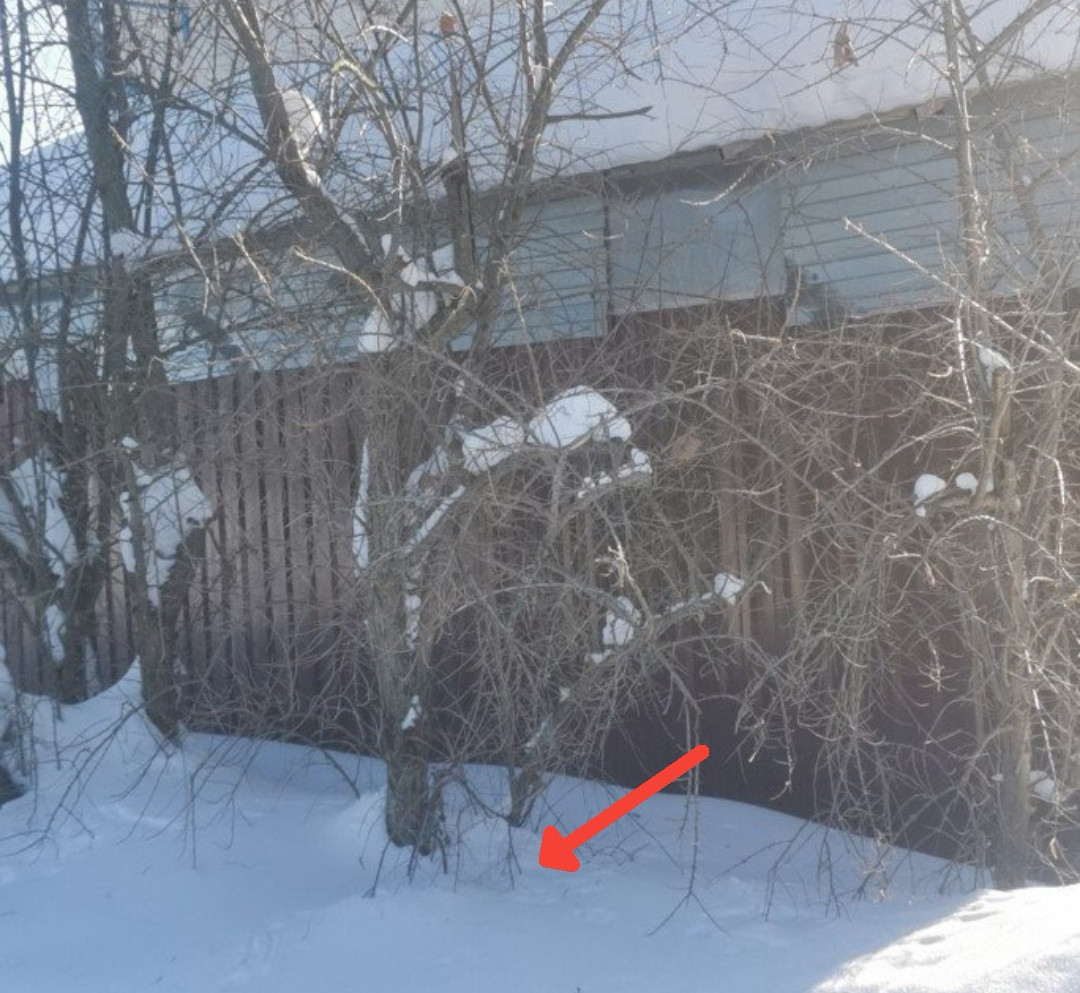 Screenshot 20260206 001059 ch blinkenlights android vanilla edit 26220786363185