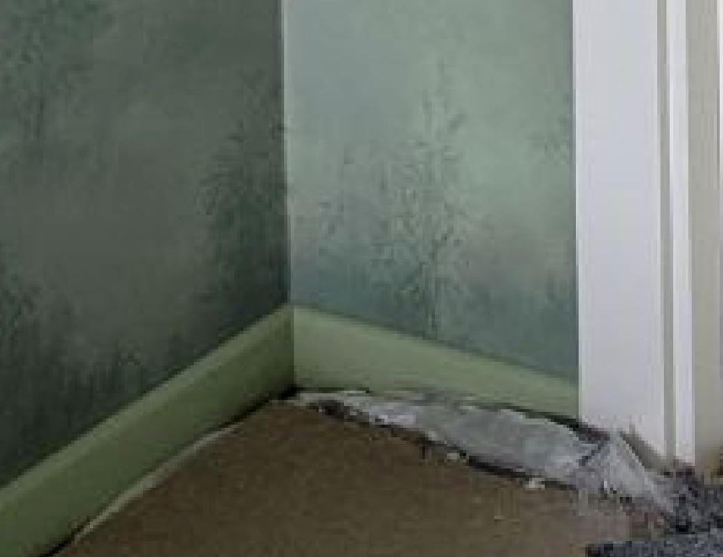 2025-04-23 14_37_24-5206383344059806063.jpg - Средство просмотра фотографий Windows