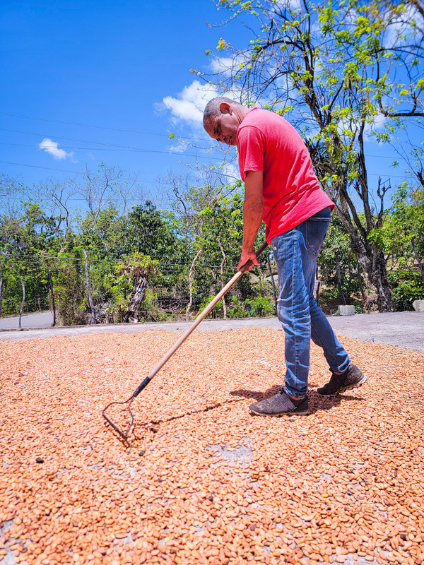 Beneficiario de proyecto de cacao (AECID)