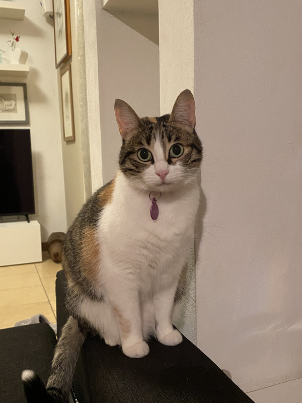 08B4FE96-20C4-4F8C-A41C-3C3D78BC525E