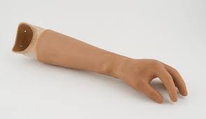 Upper limb