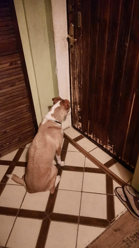 AEC7E1F7-F525-4A60-9091-BA7A972088F5