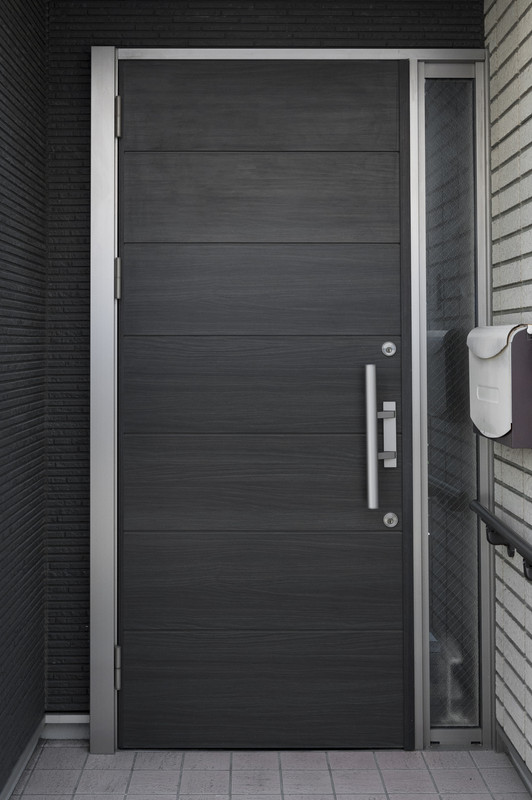 Modern Single Swing Door Design in Matte Finish