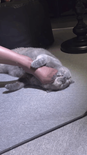 A9FCEB83 9090 4CCE 96CC 5C631283B6B7