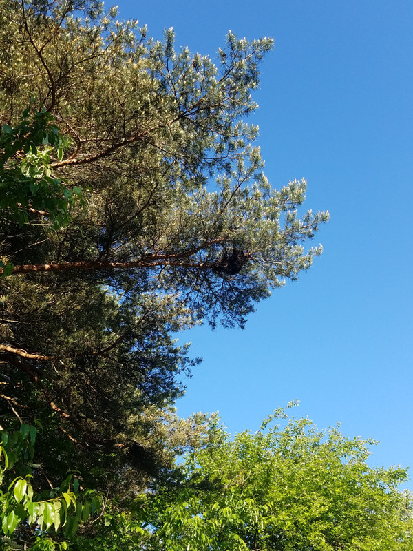 20190606_174803