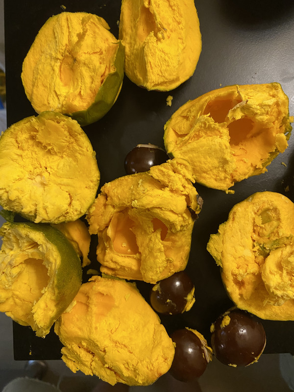 165449A4-3B1E-412F-8A73-BD9A41CB87CC