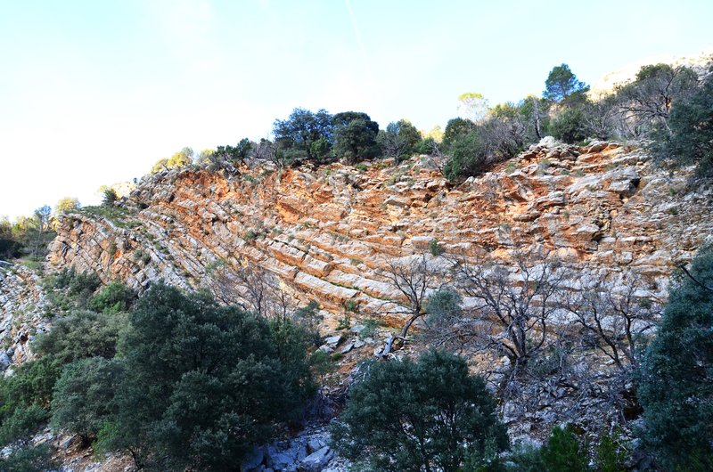 RUTA RIO BOROSA-12-3-2016-JAEN - Paseando por España-1991/2016 (204)