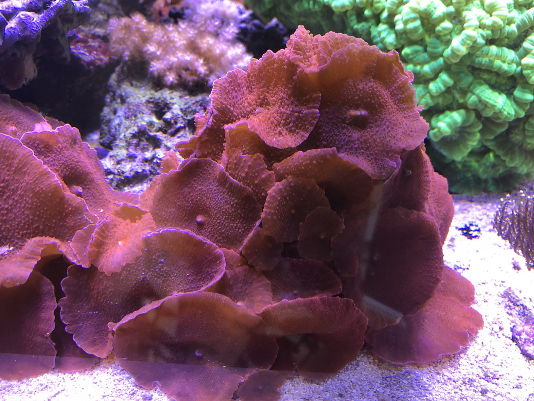 5A3960D4-962E-46EF-A781-973A9DF9C5AE