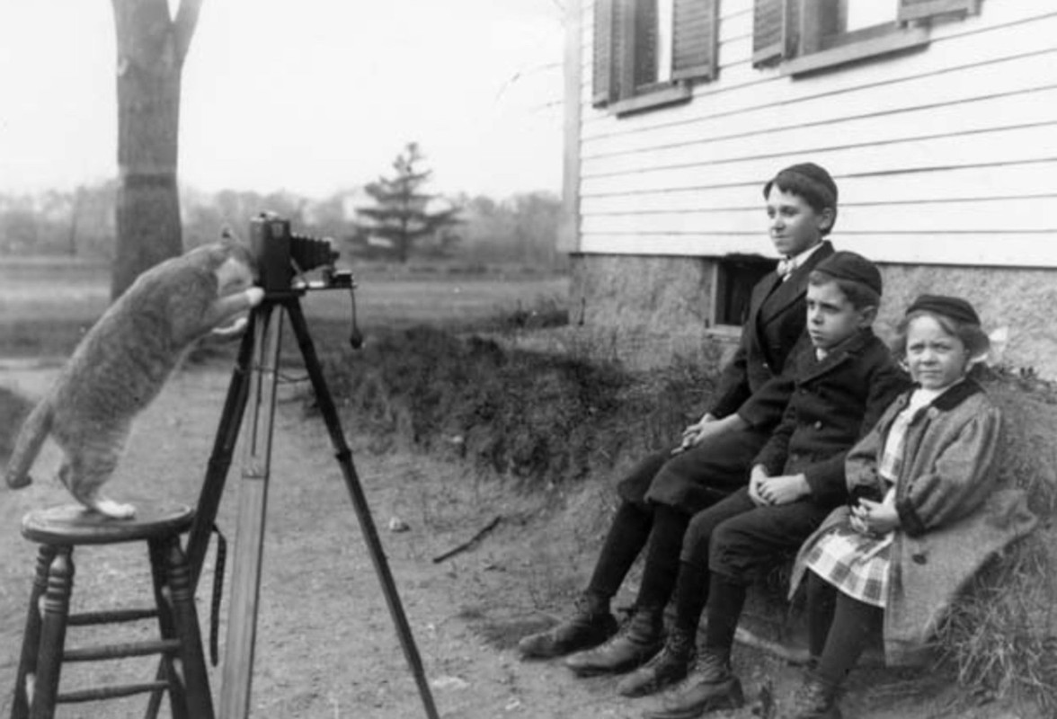 Nov1909-Cat-Takes-Photo.jpg