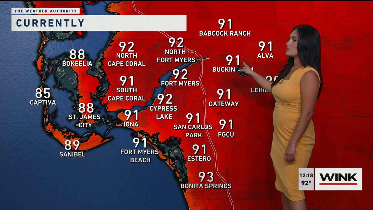 06.15 - 17.00.00 - The WINK Noon News. Midday news update..ts_snapshot_25.21.143