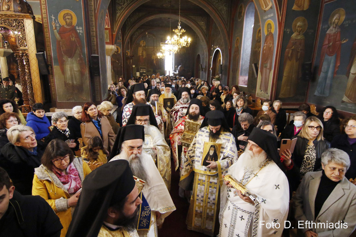 _7D28519 (Αντιγραφή)