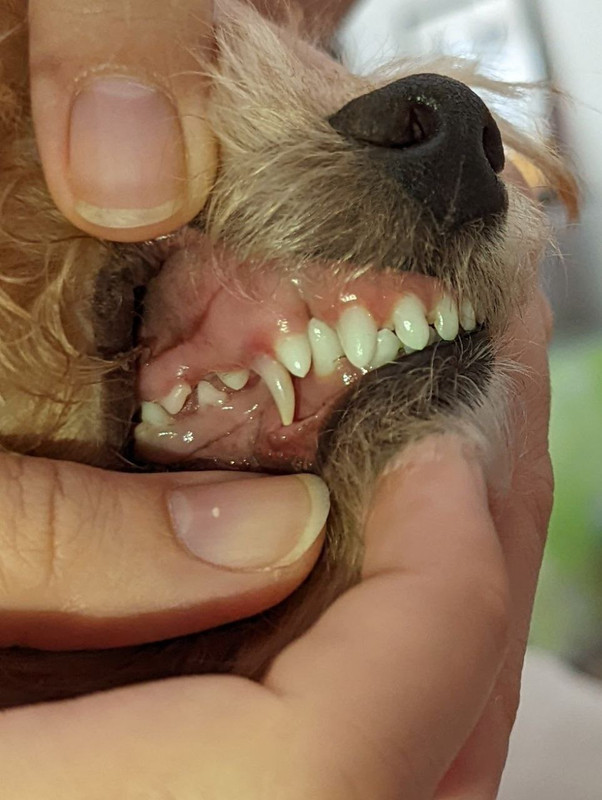 CB4F0AEA-35B0-4C3E-B201-FC6CF66707D2