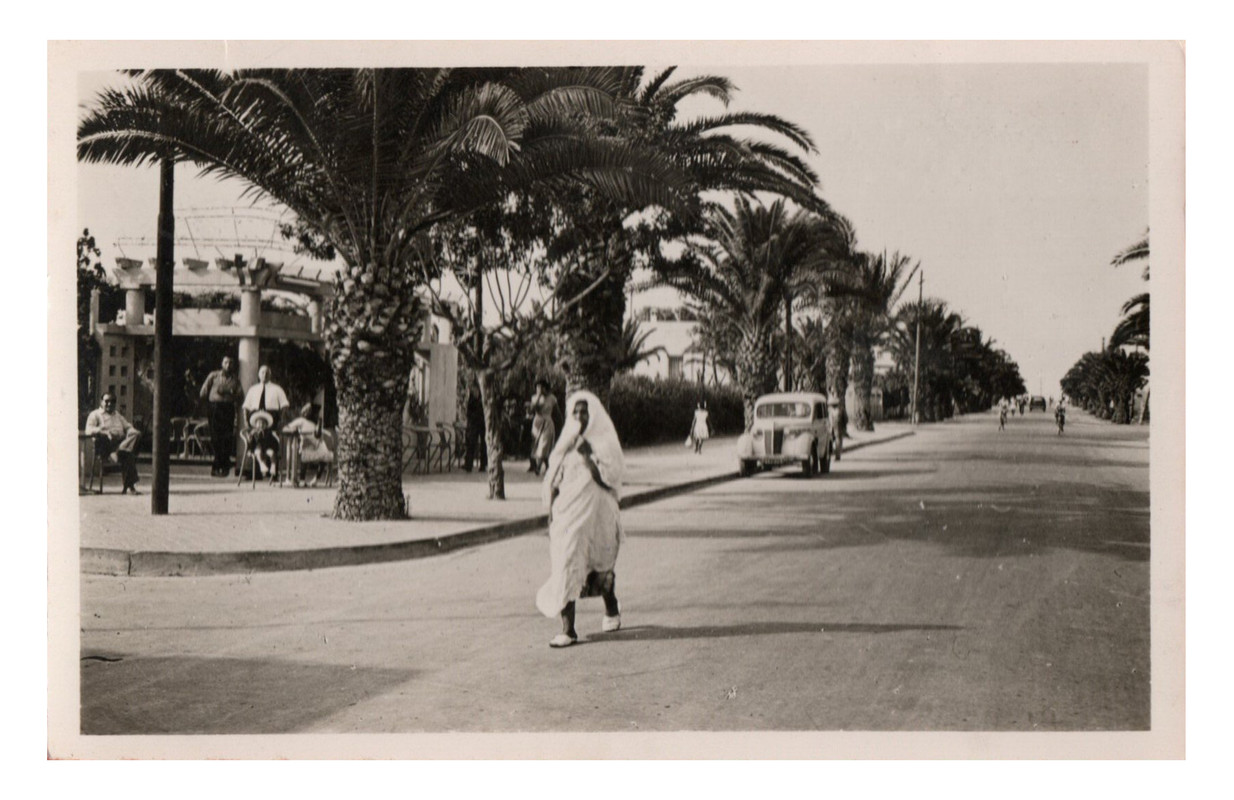 Saint Germain (Tunisie) Boulevard Général de Gaulle