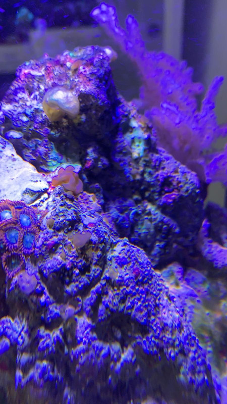 F6ADA7F7-F152-40BB-AB55-582599DB91EB