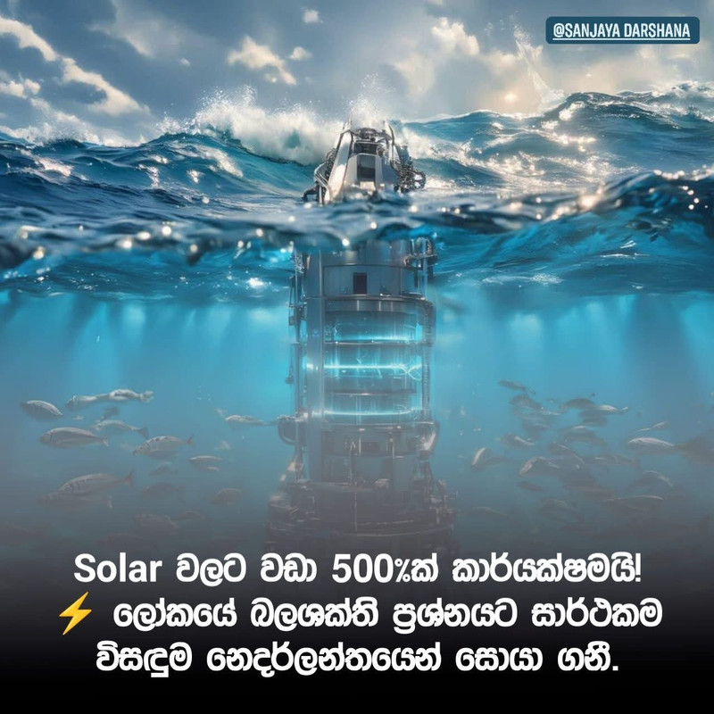 IMG-2479.jpg