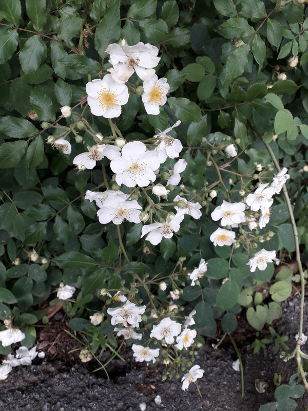 20190604_104729
