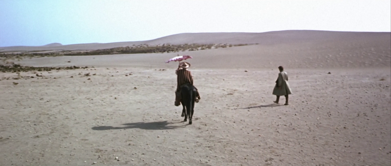 vlcsnap-2024-10-27-11h01m35s042