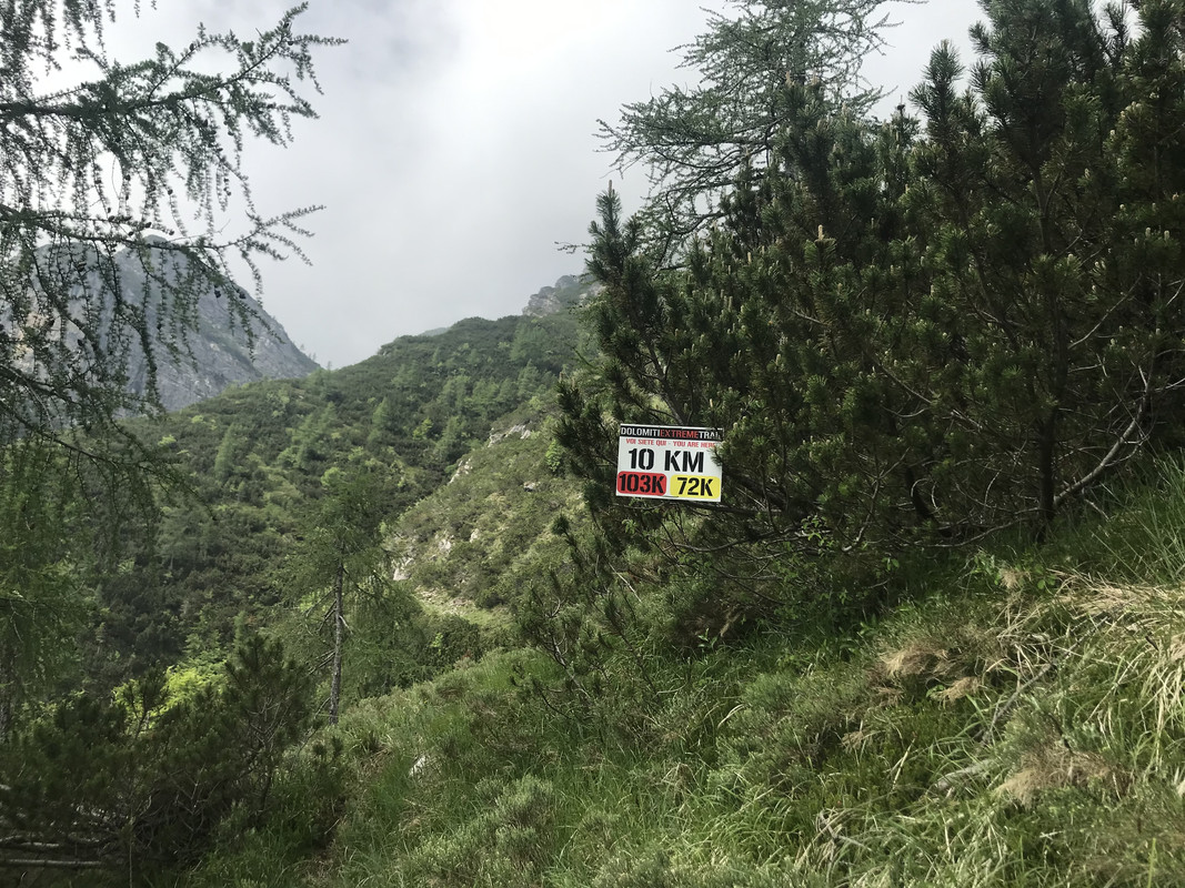 4813FA52-7EEA-462C-B3DA-9F1A88E033E6