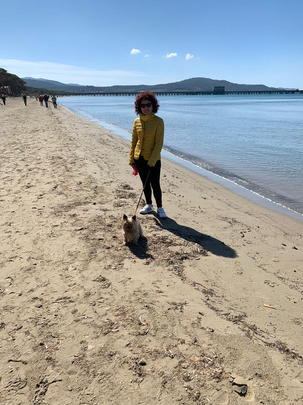 874A7BC3-DD93-43FB-BB75-CA454EF065D6