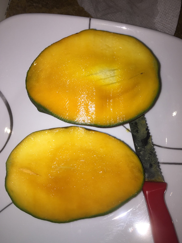 EFF46A6D-13AA-401E-80D4-3B4B1F6EFE9A