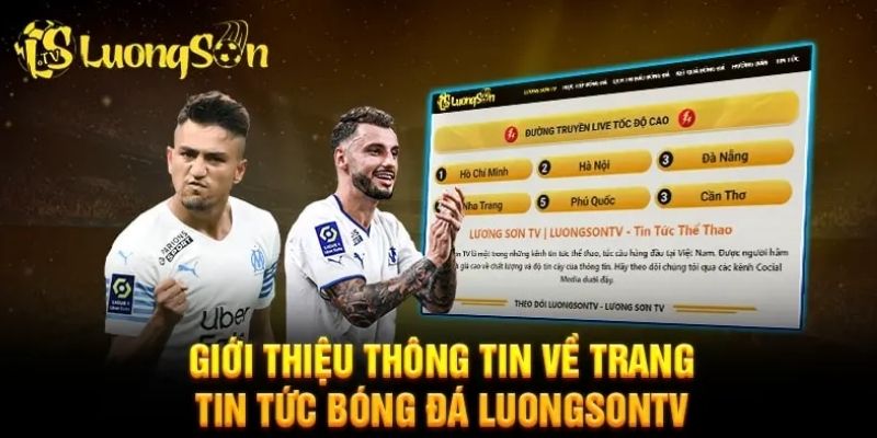 Ảnh minh họa LuongSon TV