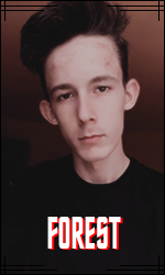 avavtar-forest.png