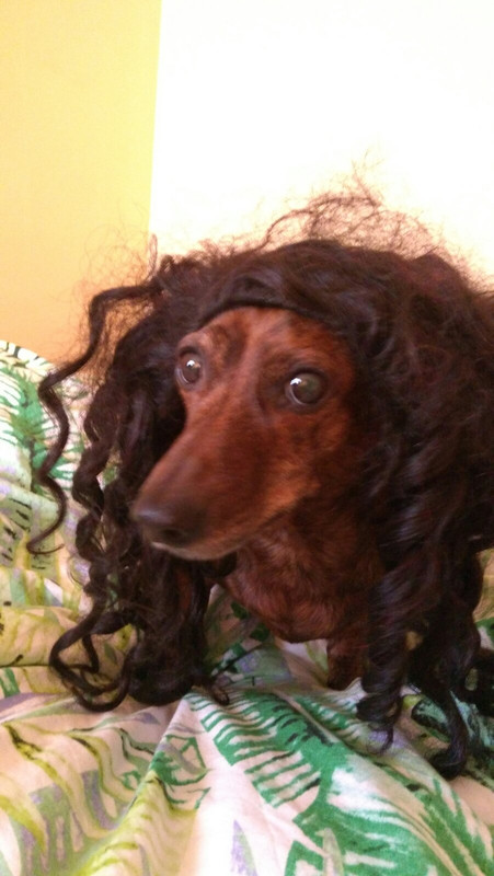 IMG-761ca72cc505839f59bbb6d231728b9a-V