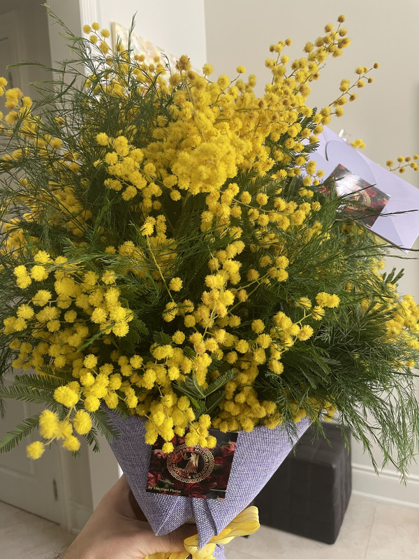 59078C31-343B-4440-9246-A6939781F9F4