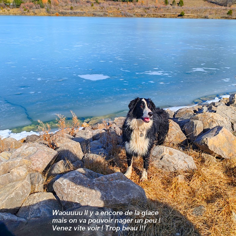 IMG-20260222-121832bb