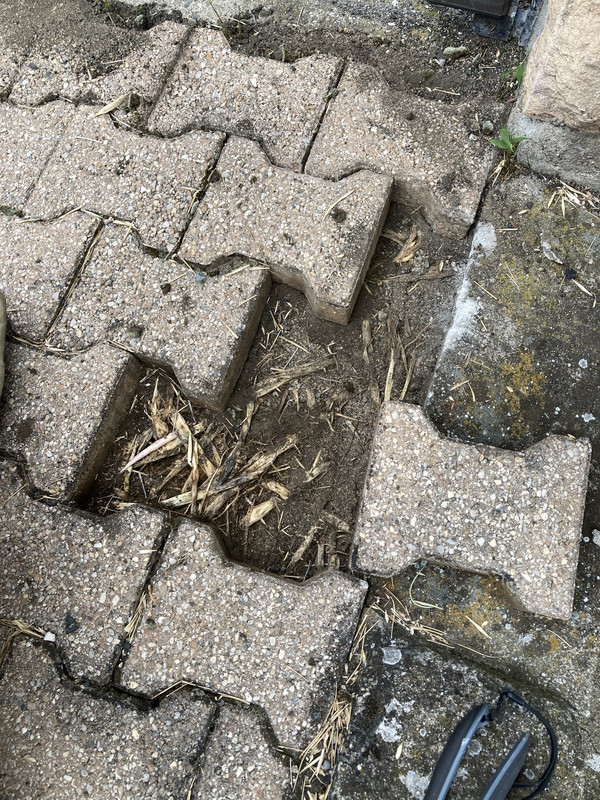 95D3C693-B477-44CC-B79F-87CB1440A97F