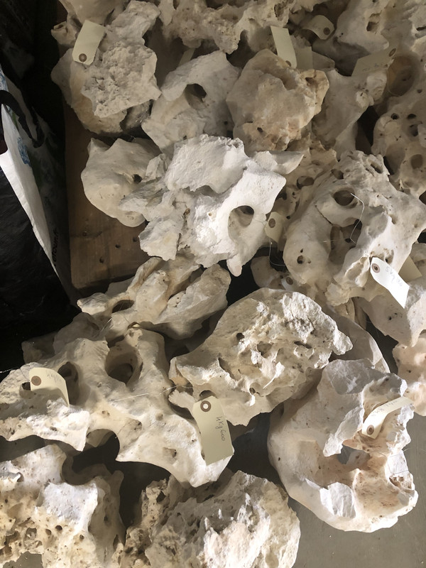 3181AF0B-58A7-408A-A872-3010FECC86E6