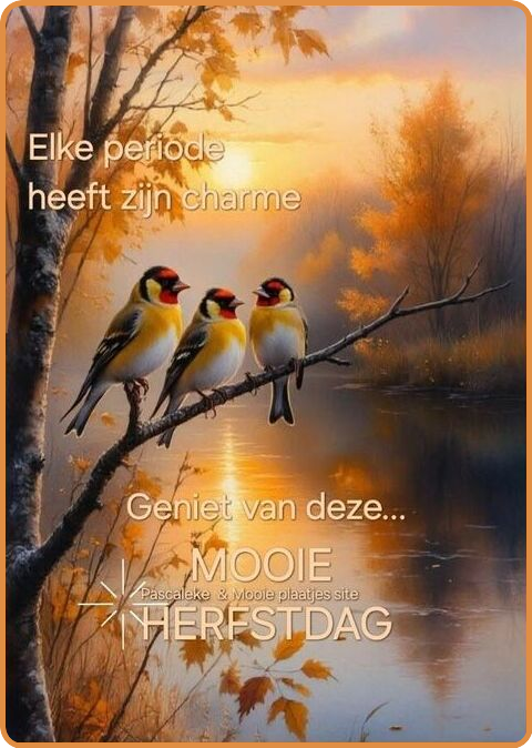 seizoen-charme.png