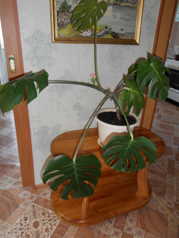 2014-12-31 17-00-00 (400)