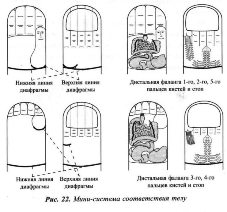 https://i.postimg.cc/Hx005mJS/003.jpg
