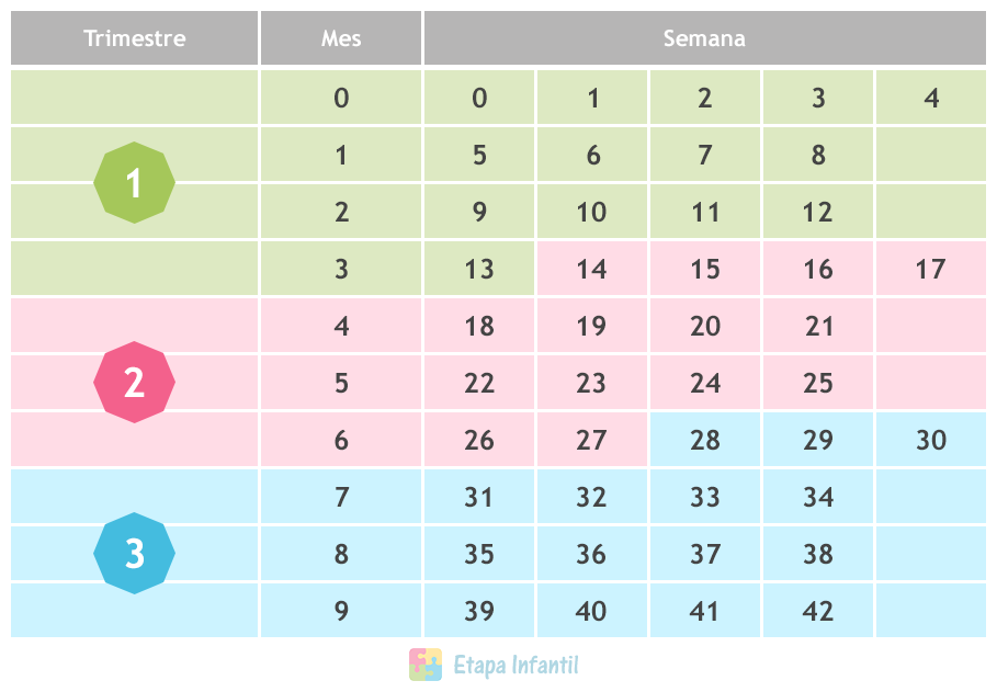 semanas vs meses