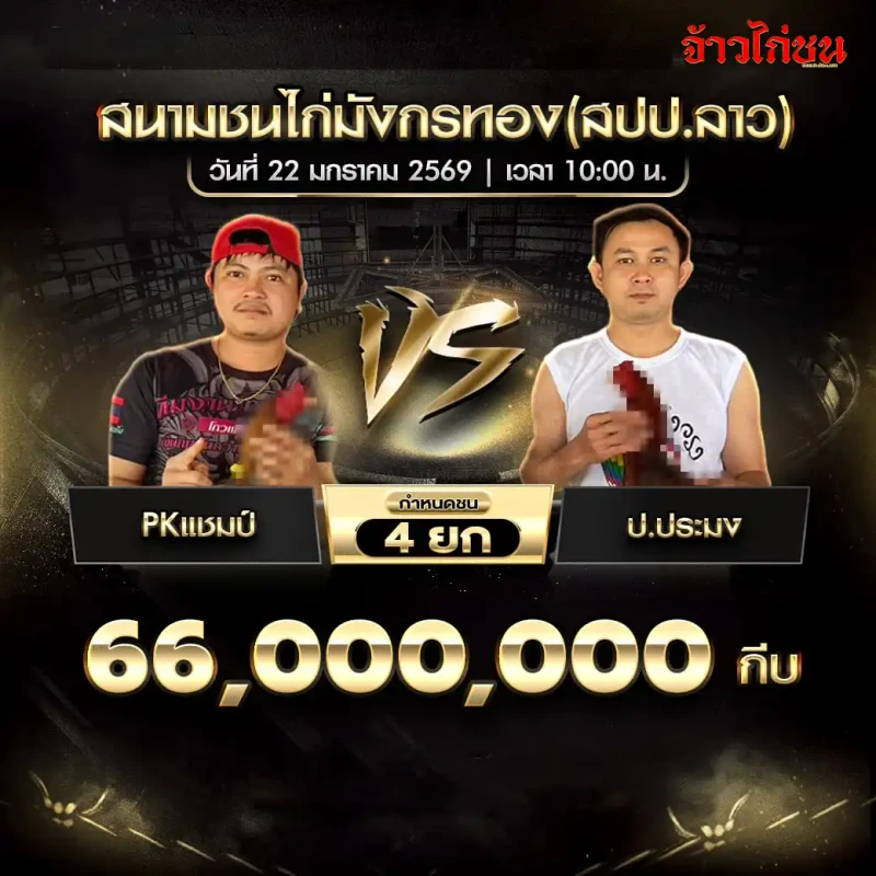 โปรแกรมไก่ชน PKแชมป์ พบ ป.ประมง สนามชนไก่มังกรทอง (สปป.ลาว) ชิง 66,000,000 กีบ กำหนดชน 4 ยก