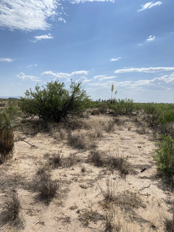 "5 Acres of Untouched Beauty Await You in San Simeon Ranches, South of Deming, NM!"