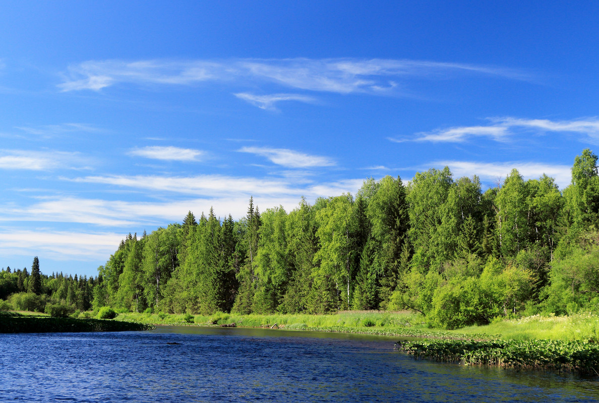 IMG_6167 (9000 x 6060)