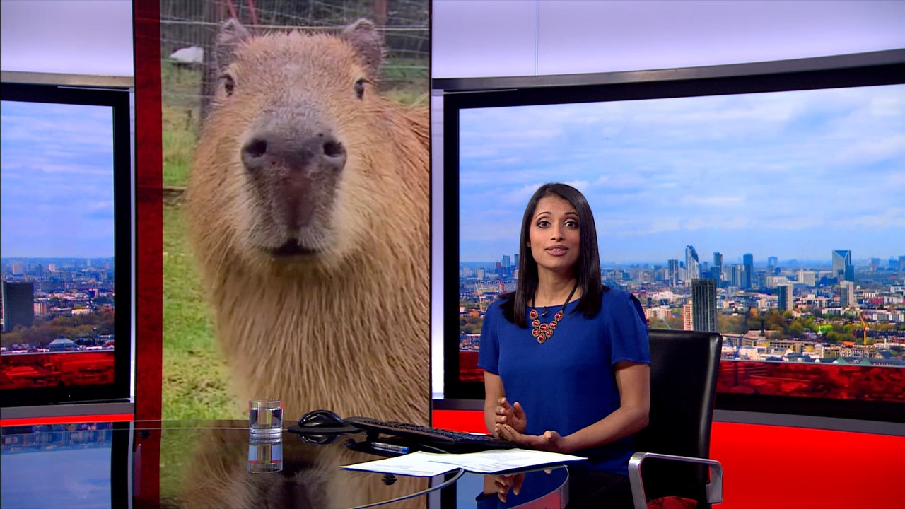 BBC London News_20230410_18501900.ts_snapshot_09.10.290