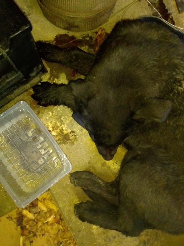 93DEA0A1-88E6-4148-B884-C83B2B97AB9A