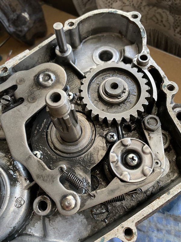 18380767-B51C-412E-BF2E-487ED12FDEE7