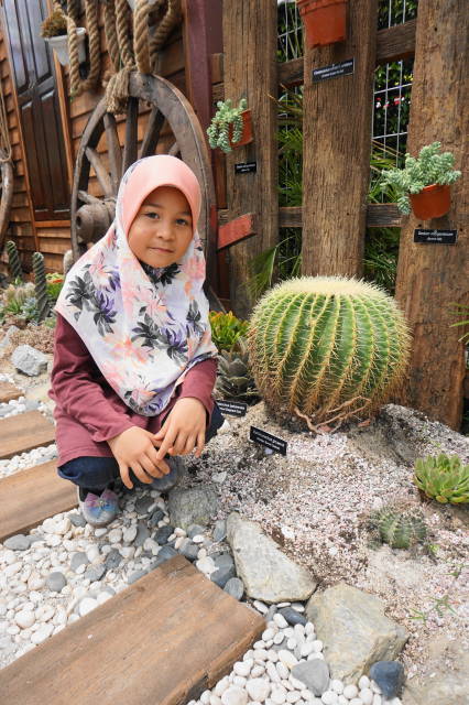 Taman koleksi Kaktus, Sukulen dan Bromeliad