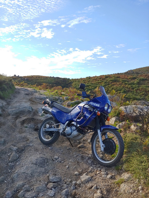20211010_172052_HDR