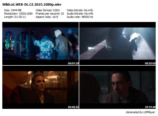 Divoká kočka / Wildcat (2025)