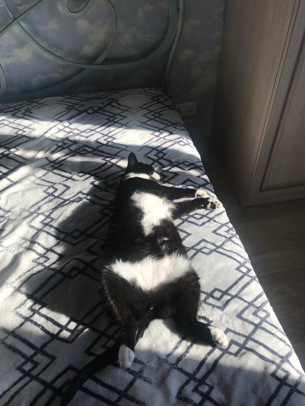 PHOTO-2020-12-28-22-26-28 (2)