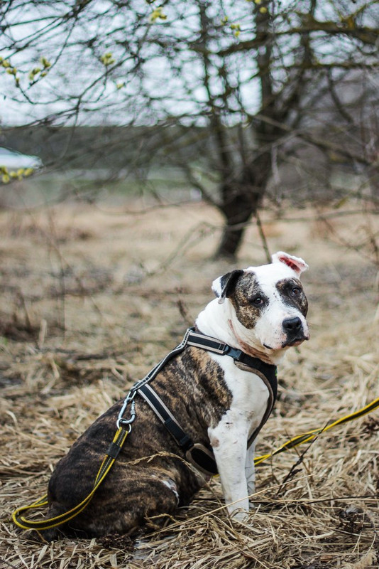 без имени-0965