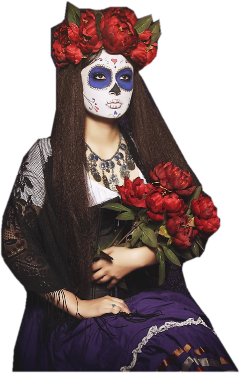 HAb1y-Fd-FAbh-Uh-Dwr-Fq-XDm1-Kx1-WA-500x749